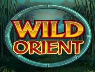 Wild Orient game icon